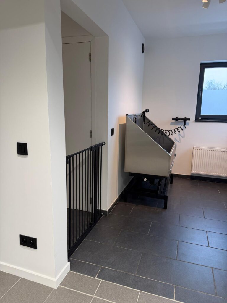 Honden trimsalon Dog spirit Heist-op-den-berg Hallaar 2220