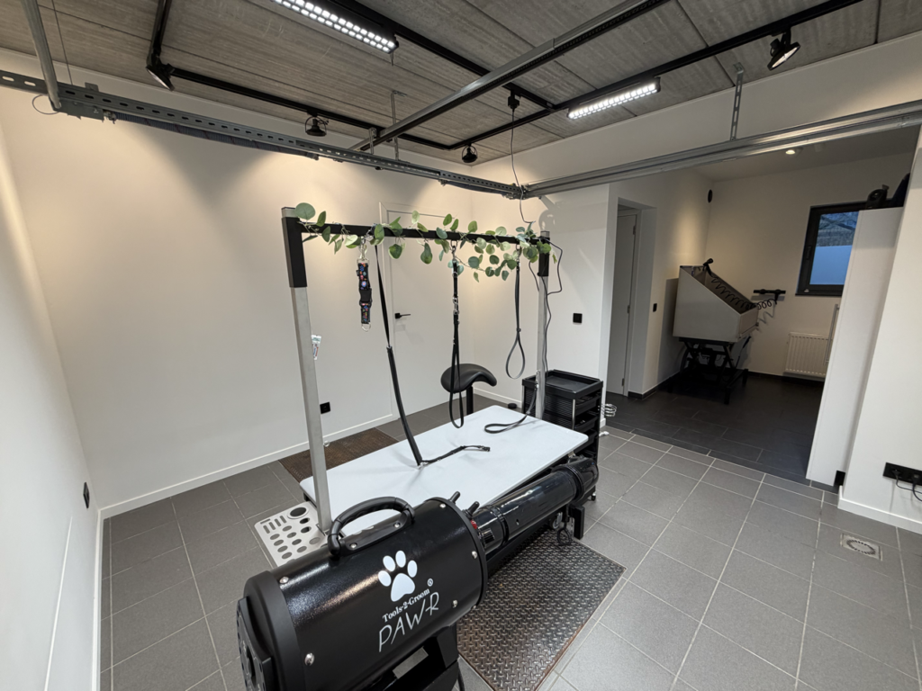 Honden trimsalon Dog spirit Heist-op-den-berg Hallaar 2220